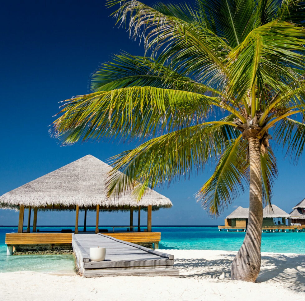 Holiday Packages