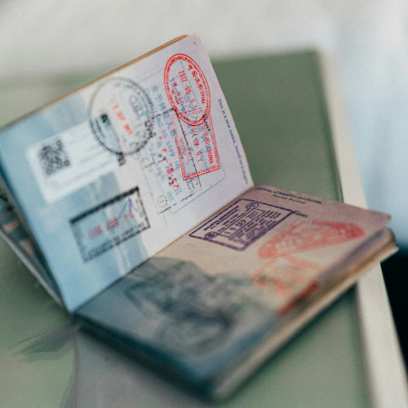 Visa Processing